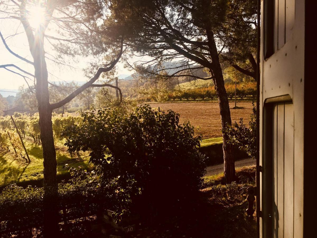 Il Cardello Locanda Casola Valsenio Exterior foto