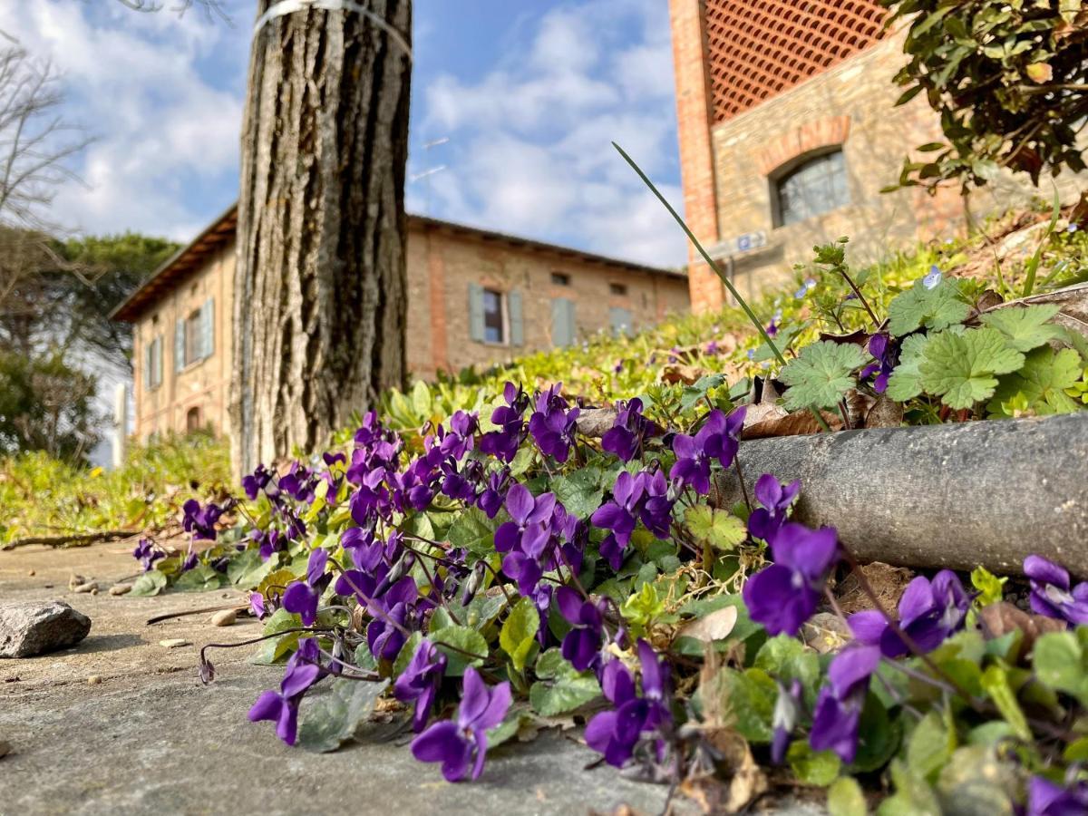 Il Cardello Locanda Casola Valsenio Exterior foto